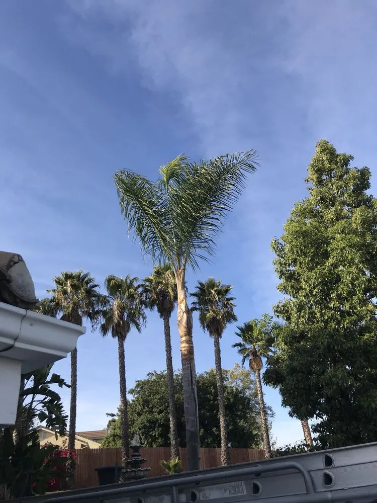 Local landscaping services in Valley Center, CA by Joaquin Hernandez Landscaping