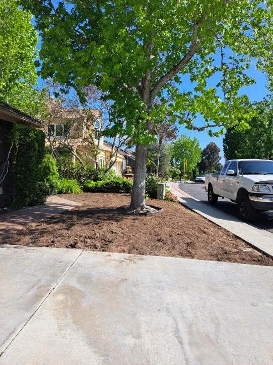 Custom lawn mowing service for year-round maintenance across Valley Center, CA - Joaquin Hernandez Landscaping