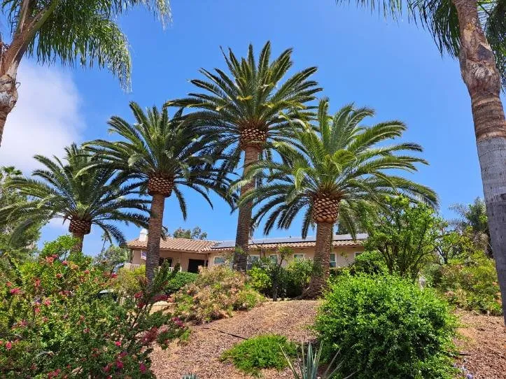 Trusted garden landscaping experts serving Valley Center, CA - Joaquin Hernandez Landscaping