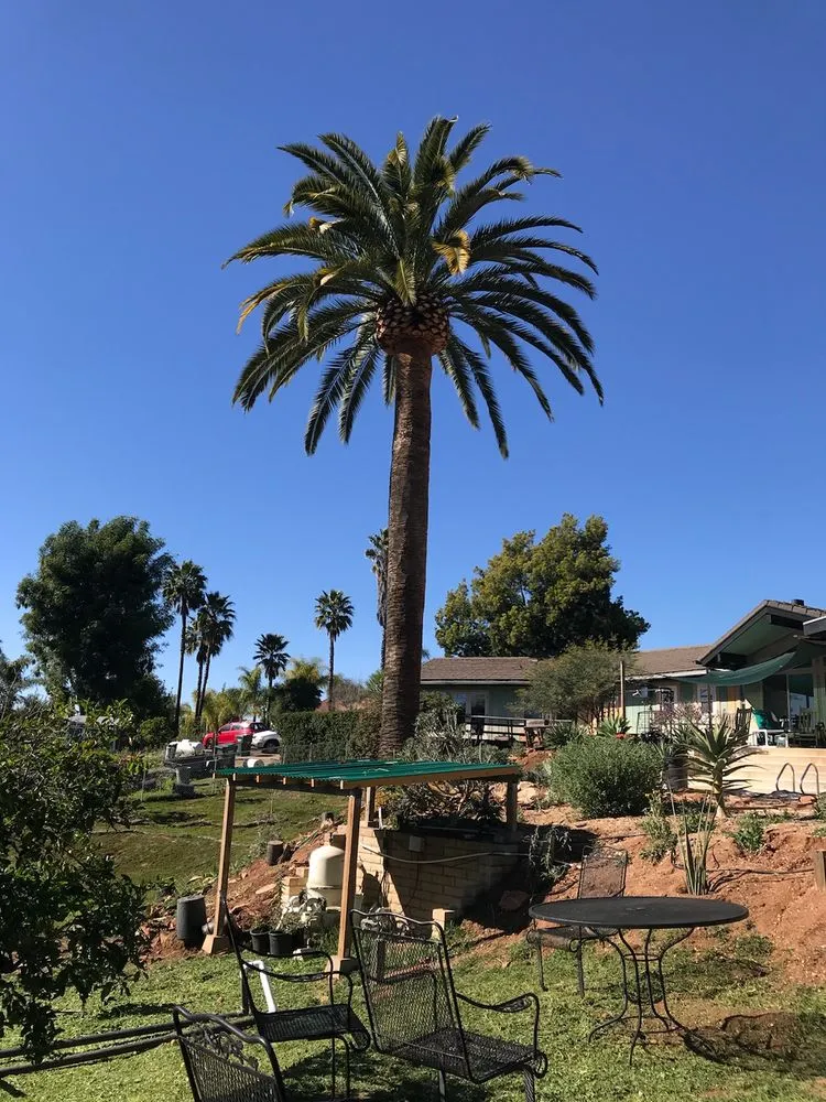 Local residential landscaping in Valley Center, CA by Joaquin Hernandez Landscaping