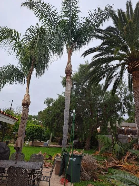Custom outdoor landscaping in Valley Center, CA - Joaquin Hernandez Landscaping