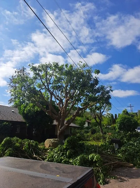 Expert outdoor landscaping experts serving Valley Center, CA - Joaquin Hernandez Landscaping