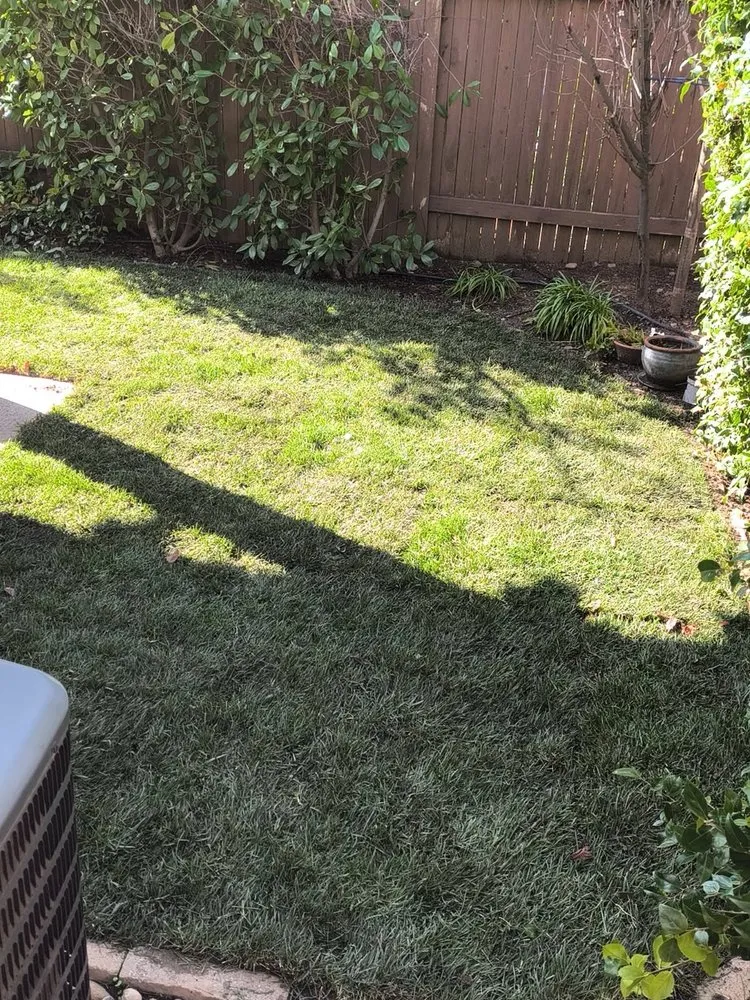 Affordable yard maintenance in Sacramento, CA by Joaquin Landscape