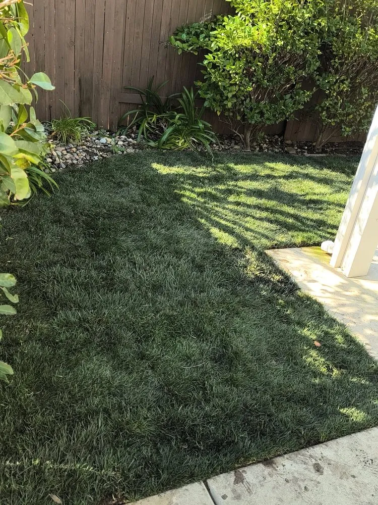 Top-rated yard cleanup service in Sacramento, CA - Joaquin Landscape