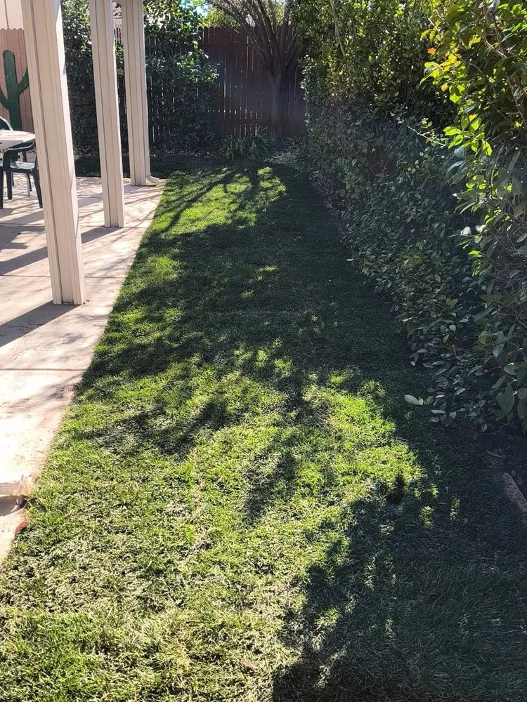 Local lawn care service near you in Sacramento, CA by Joaquin Landscape