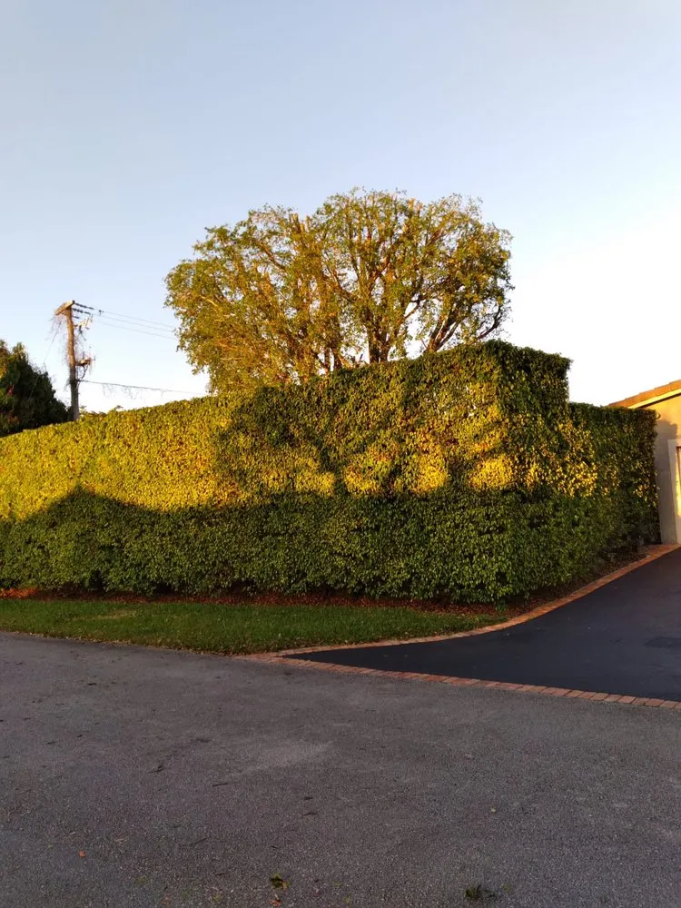 Affordable landscaping services in Miami, FL by Joaquin Perez Pu Landscape