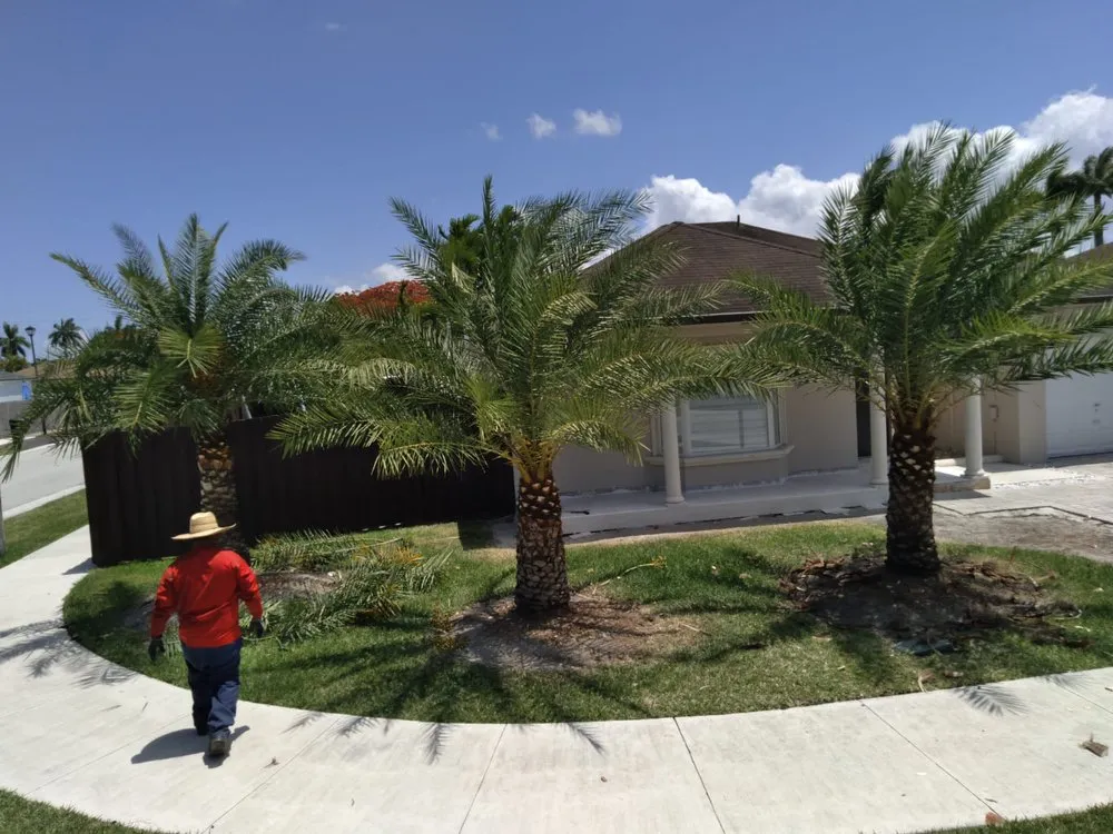 Expert landscape installation in Miami, FL by Joaquin Perez Pu Landscape