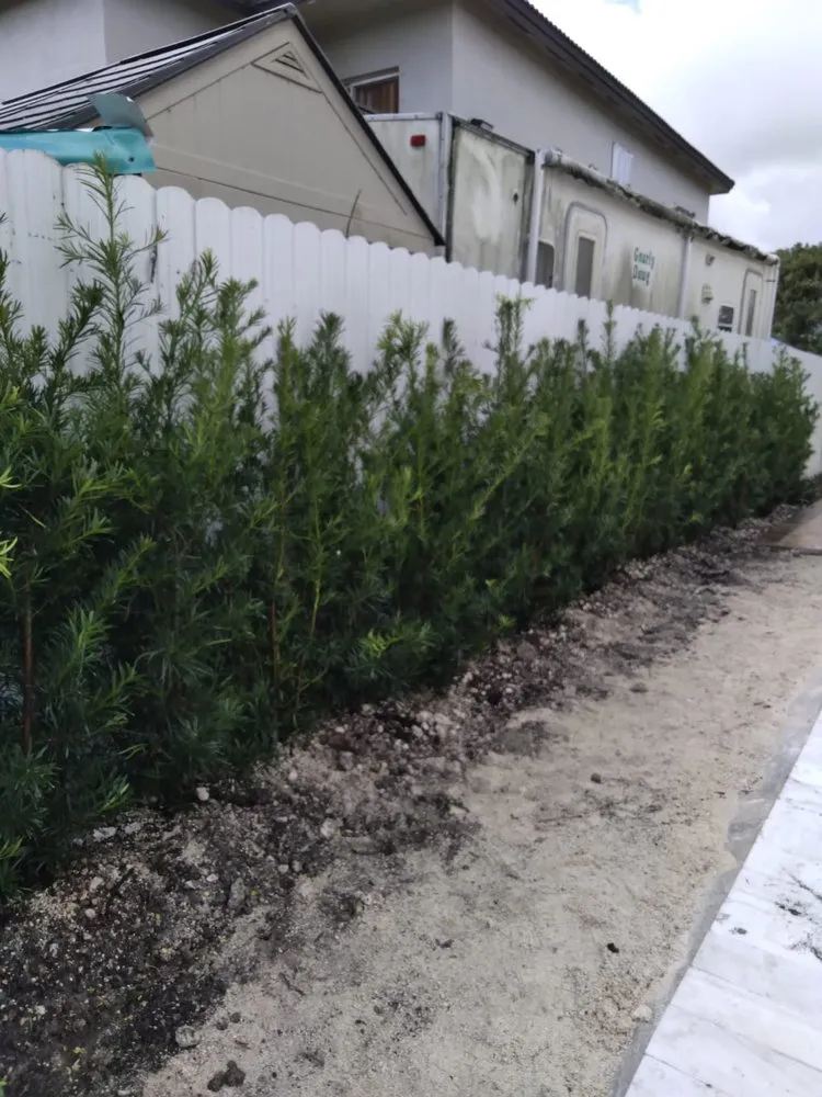 Custom yard maintenance for year-round maintenance across Miami, FL - Joaquin Perez Pu Landscape