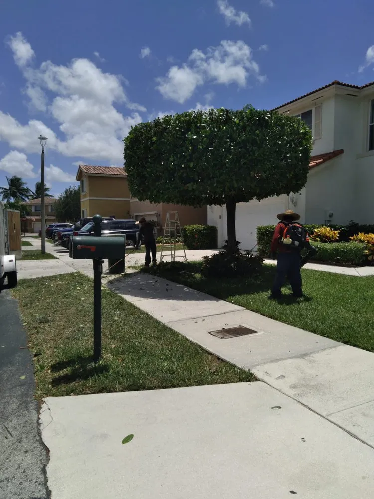 Expert landscape design in Miami, FL by Joaquin Perez Pu Landscape