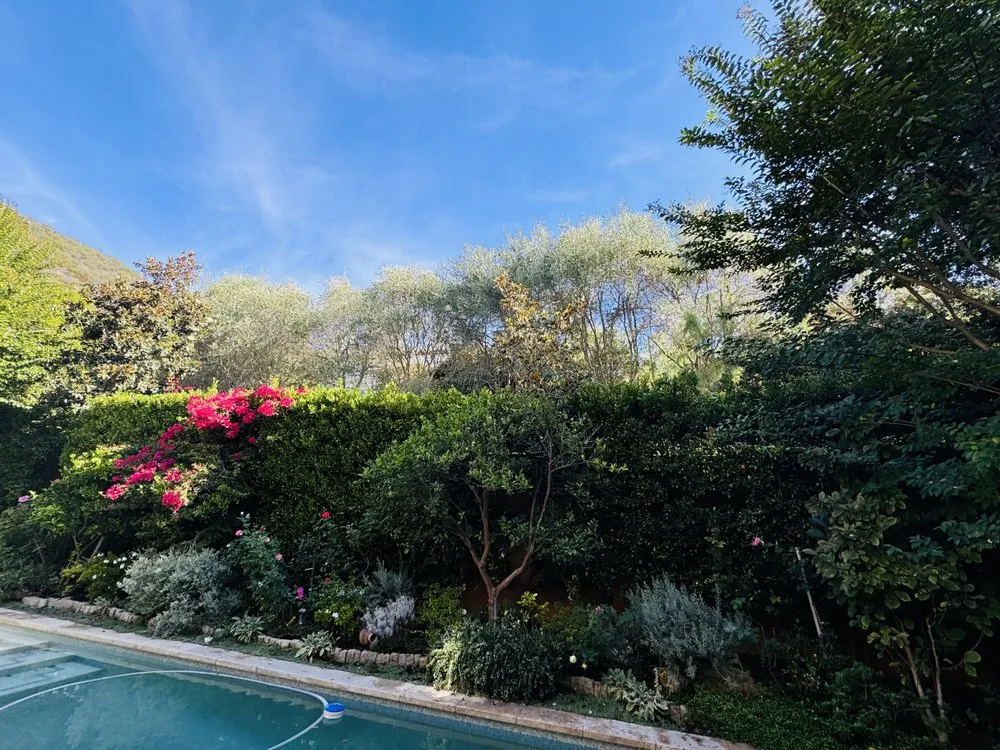 Expert outdoor landscaping in Los Angeles, CA by Joaquin’s Landscaping