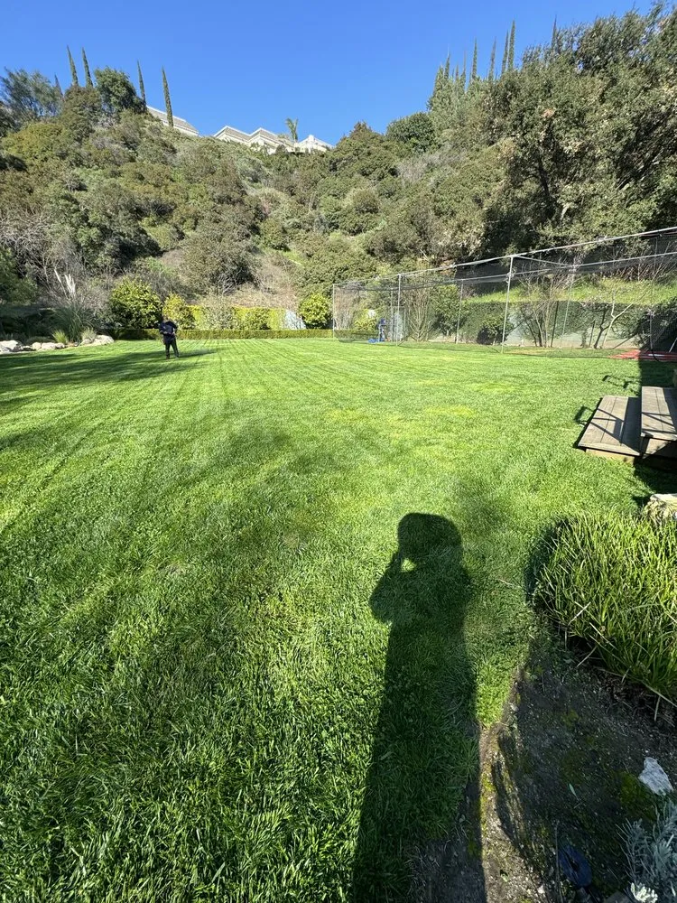 Reliable landscape design for outdoor upgrades in Los Angeles, CA by Joaquin’s Landscaping