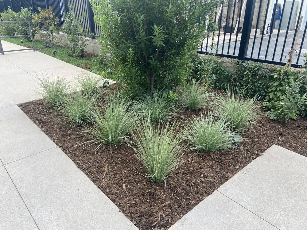 Expert yard maintenance experts serving Los Angeles, CA - Joaquin’s Landscaping