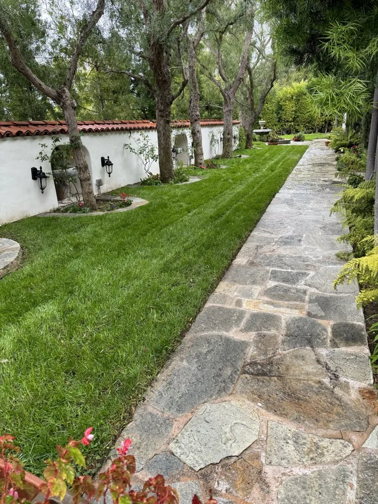 Professional yard maintenance experts serving Los Angeles, CA - Joaquin’s Landscaping