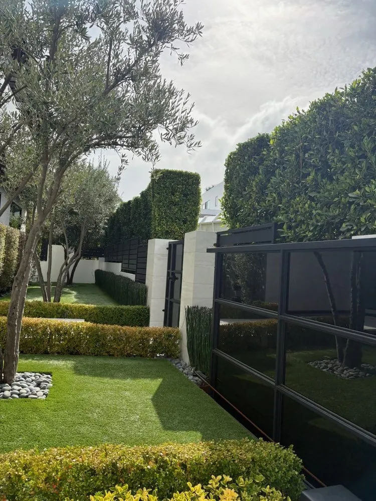 Affordable yard maintenance in Los Angeles, CA by Joaquin’s Landscaping