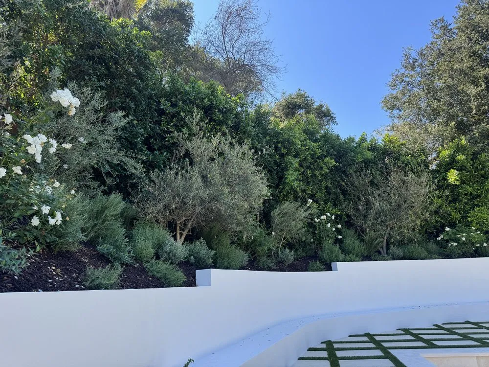 Reliable landscape installation for homes in Los Angeles, CA by Joaquin’s Landscaping