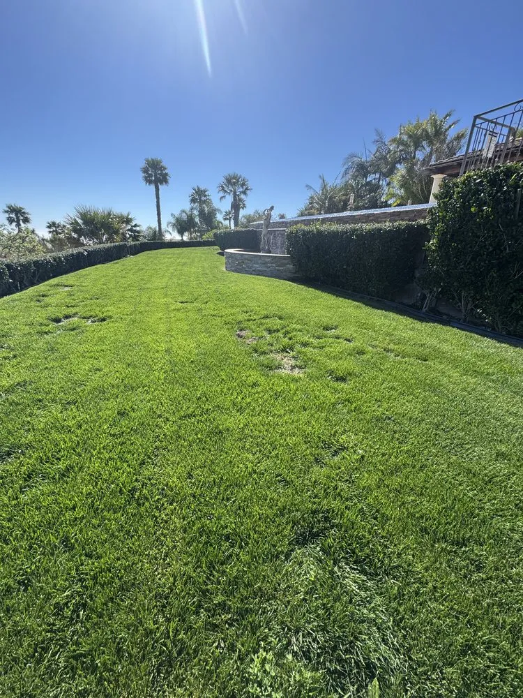 Local yard maintenance in Los Angeles, CA by Joaquin’s Landscaping