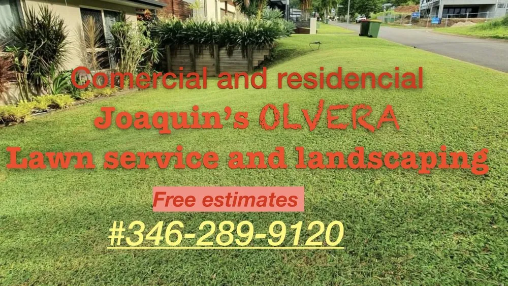 Local yard cleanup service experts serving League City, TX - Joaquin’s Olvera Lawn Service and Landscaping
