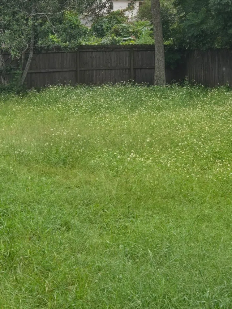 Reliable outdoor landscaping in Orange Park, FL by Joat Landscaping