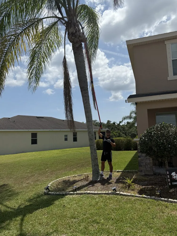 Affordable lawn mowing service near you across Lakewood Ranch, FL - Job Jocks