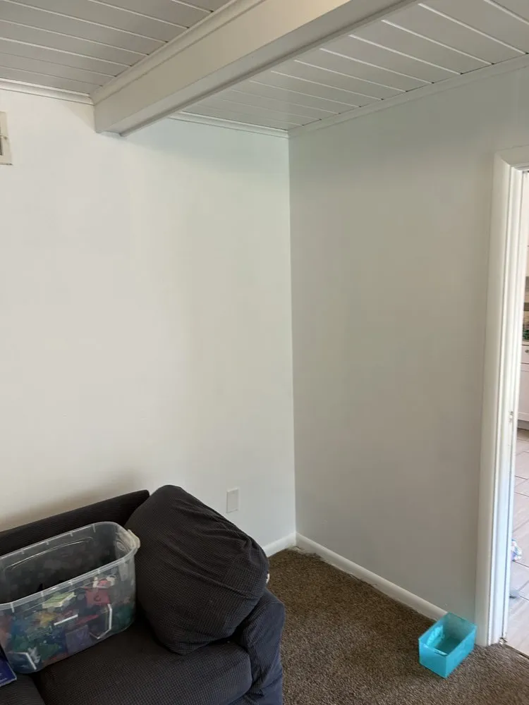 Affordable yard cleanup service for year-round maintenance in Lawton, OK by Job King