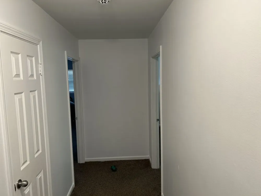 Reliable yard cleanup service for beautiful yards in Lawton, OK by Job King