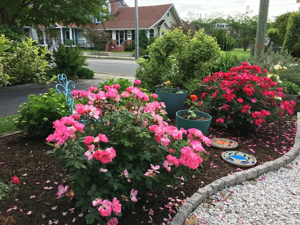 Reliable yard maintenance in Lewes, DE by Jobe's Landscape
