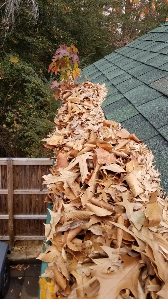 Custom outdoor landscaping for beautiful yards across Mechanicsville, MD - Jobs Complete