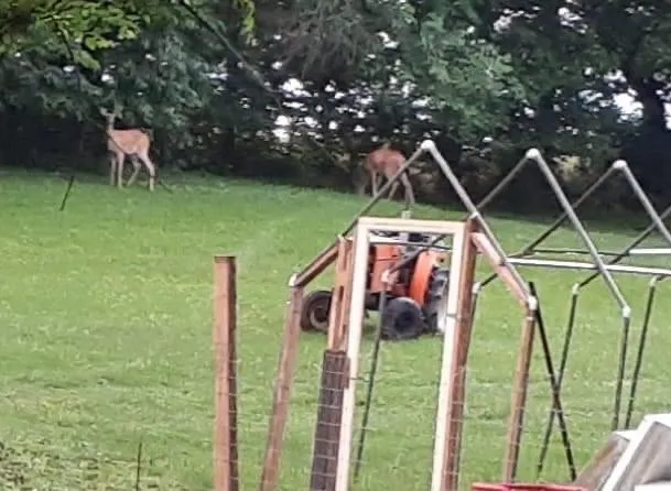 Expert landscape installation experts serving Shelbyville, KY - Jobs Done Cheap