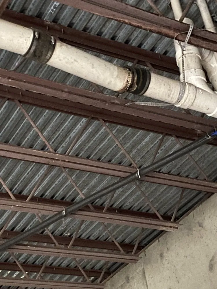 Top-rated yard cleanup service in Shelbyville, KY by Jobs Done Cheap