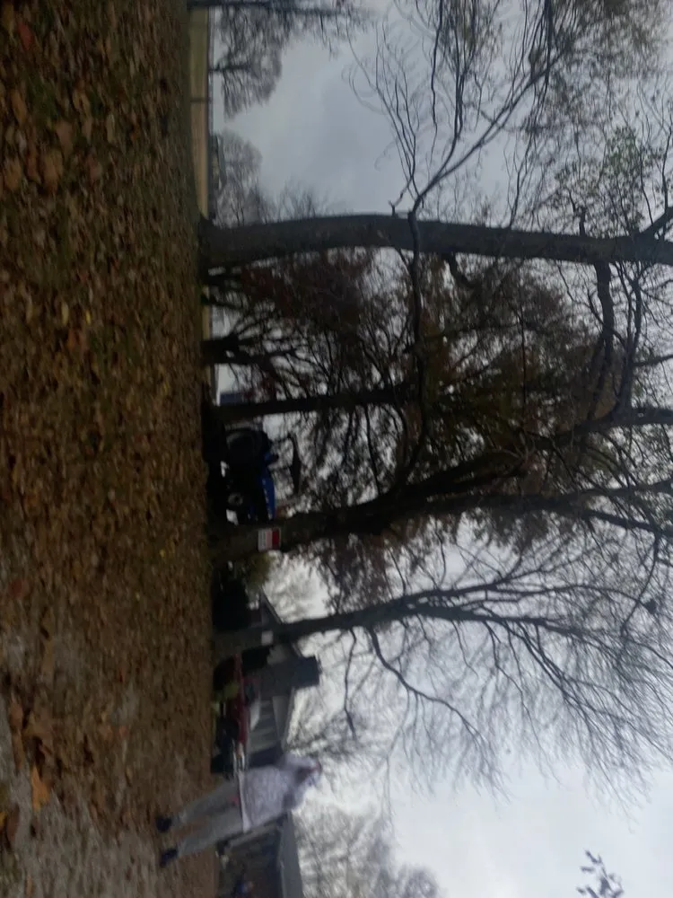 Top-rated residential landscaping for outdoor upgrades across Shelbyville, KY - Jobs Done Cheap