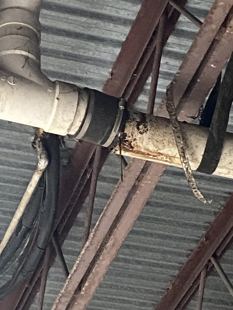 Affordable lawn mowing service experts serving Shelbyville, KY - Jobs Done Cheap