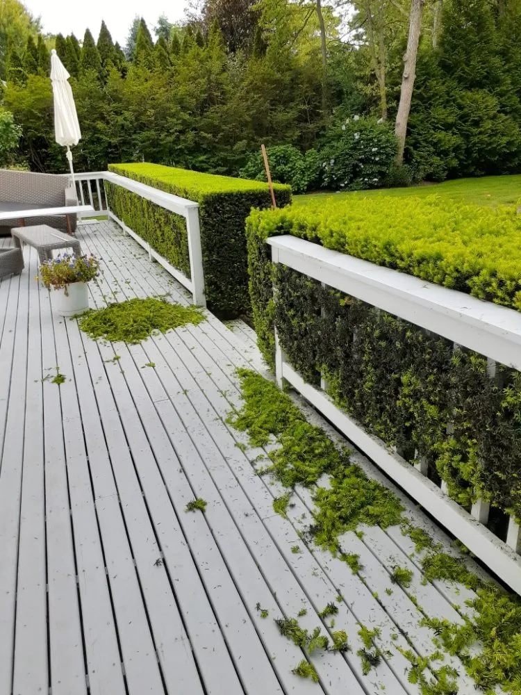 Affordable yard maintenance for year-round maintenance in Hampton Bays, NY by Job's Landscaping