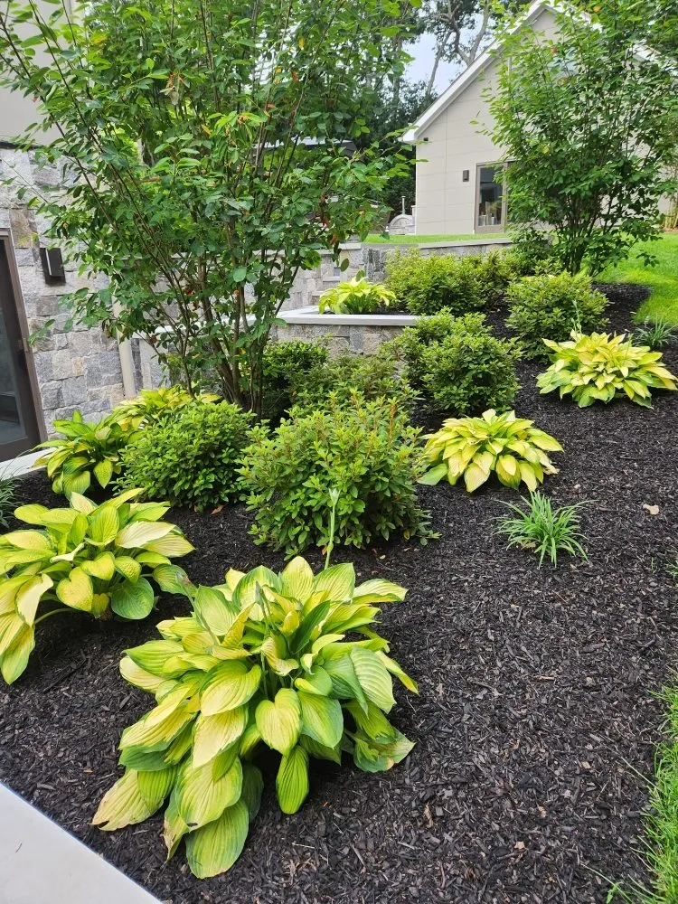 Professional yard maintenance for homes across Hampton Bays, NY - Job's Landscaping