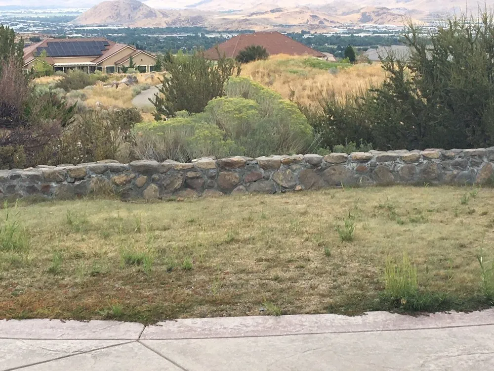 Expert yard cleanup service for outdoor upgrades across Reno, NV - Job's Peak Weed Control
