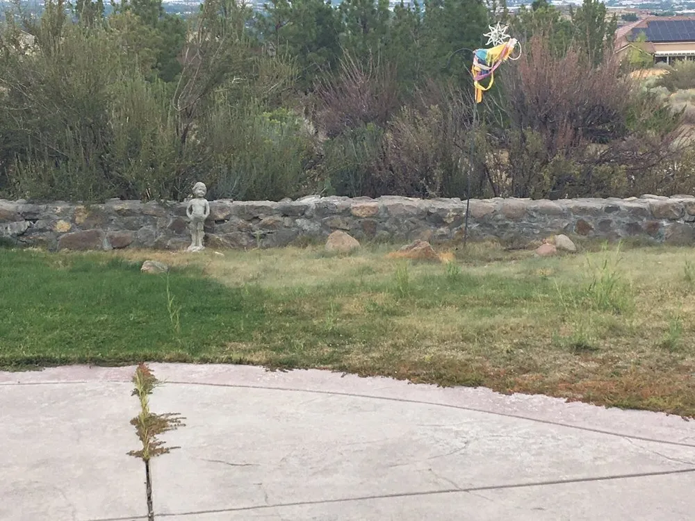 Affordable landscape installation in Reno, NV - Job's Peak Weed Control