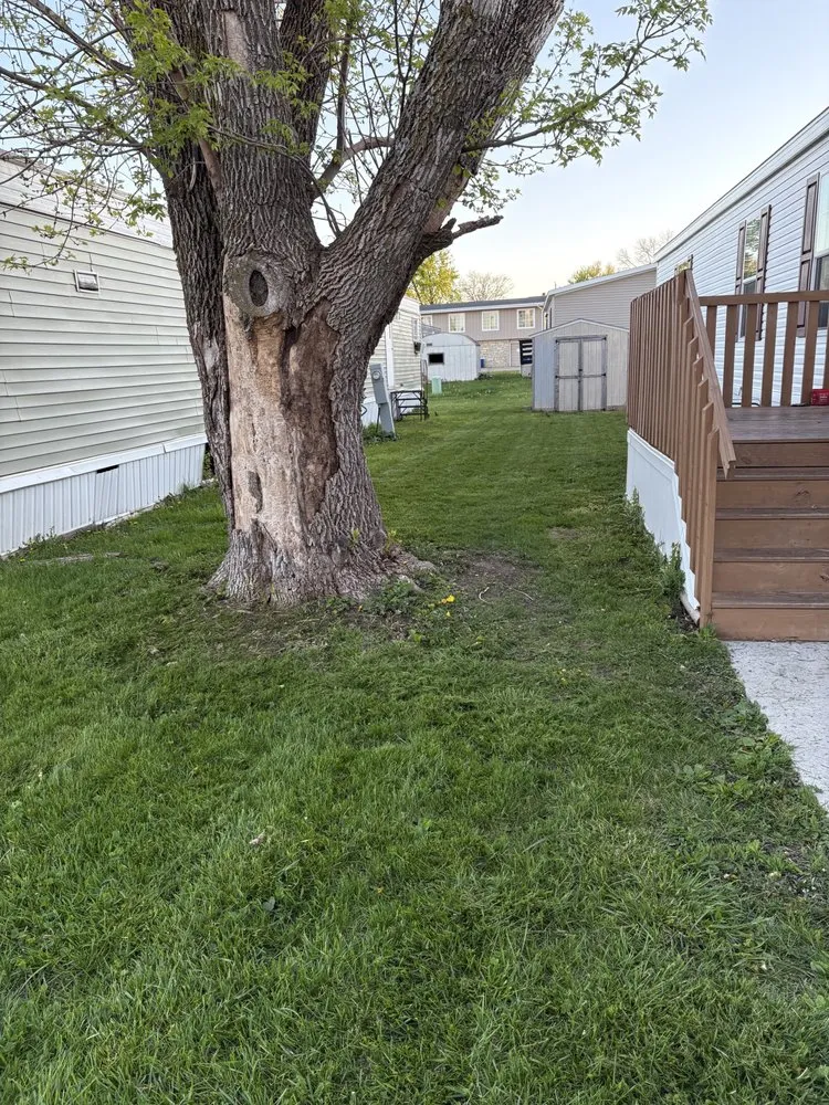 Custom yard maintenance experts serving Cedar Rapids, IA - Jobys Lawncare Services