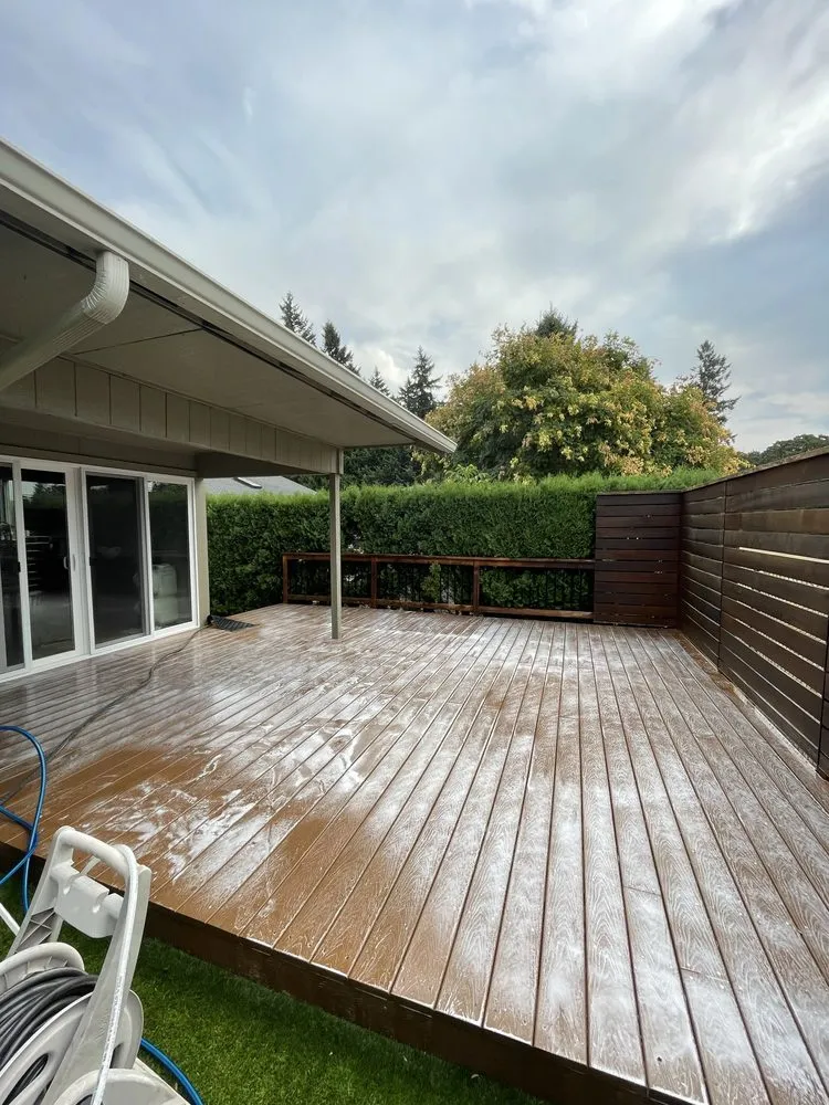 Top-rated yard cleanup service in Albany, OR by Jochimsen Pressure Wash