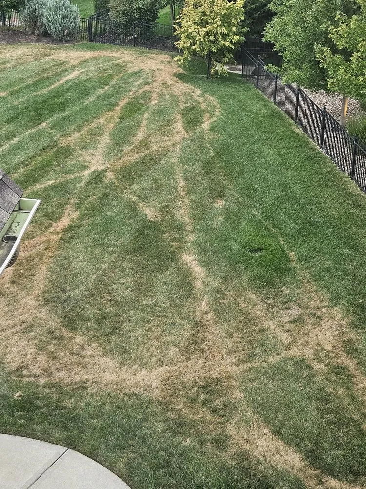 Trusted lawn mowing service in Shawnee, KS by JOCO Lawn & Turf