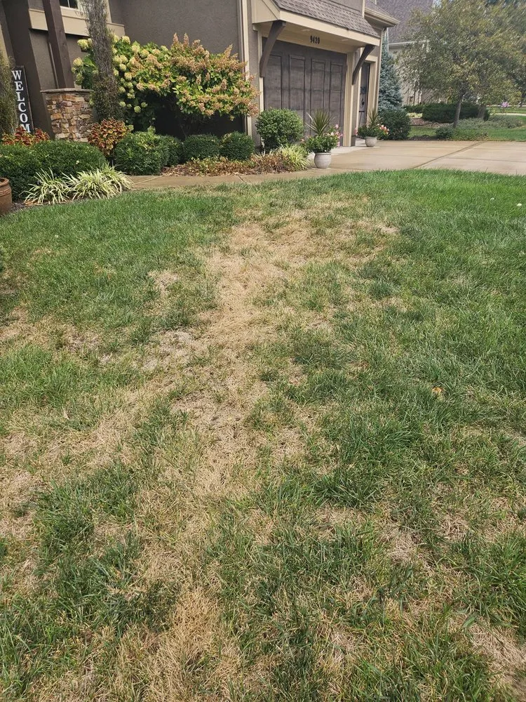Trusted landscape installation in Shawnee, KS - JOCO Lawn & Turf