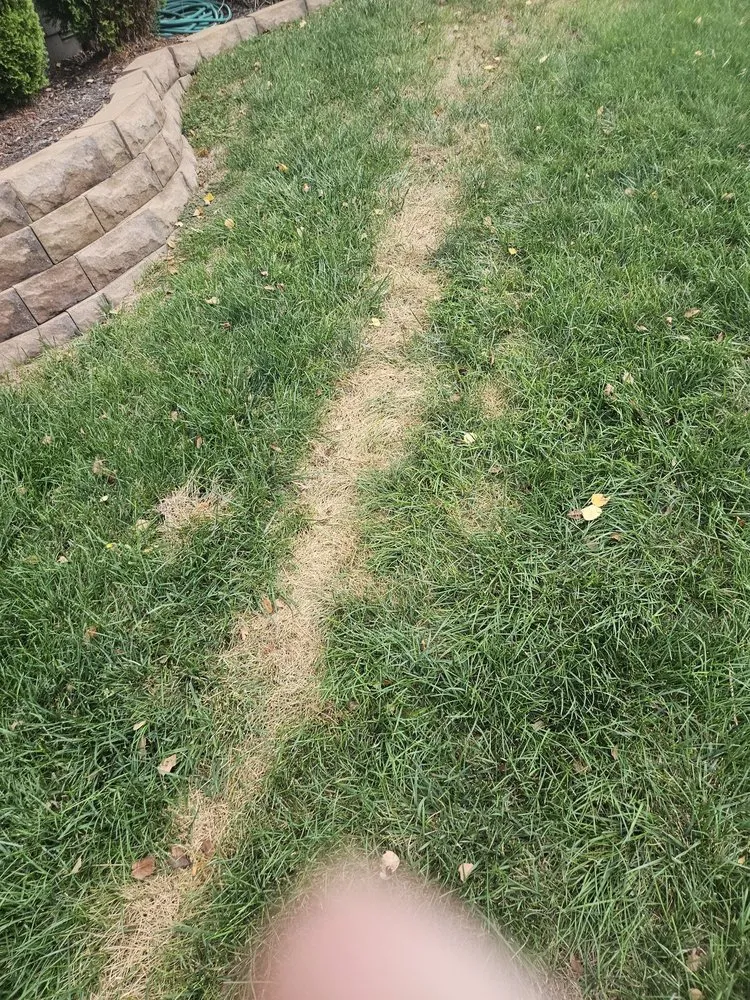 Professional yard maintenance for residential properties across Shawnee, KS - JOCO Lawn & Turf