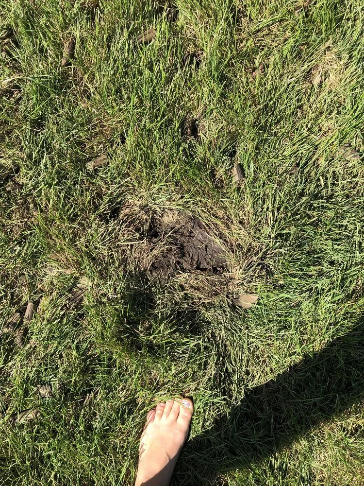 Custom residential landscaping for year-round maintenance across Shawnee, KS - JOCO Lawn & Turf