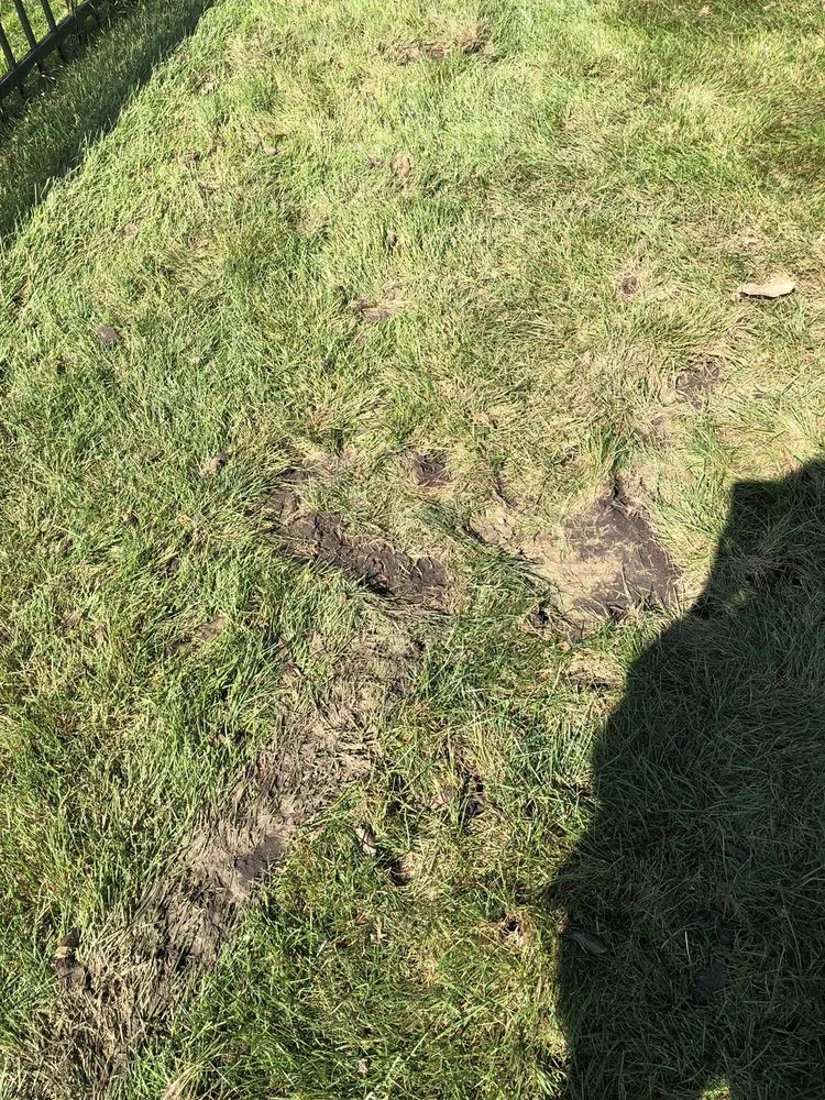 Custom landscaping services experts serving Shawnee, KS - JOCO Lawn & Turf