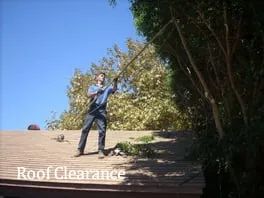 Custom lawn mowing service for beautiful yards in Temple, TX by Jody's Tree Service