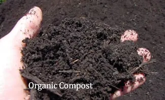 Custom lawn care service for year-round maintenance across Temple, TX - Jody's Tree Service