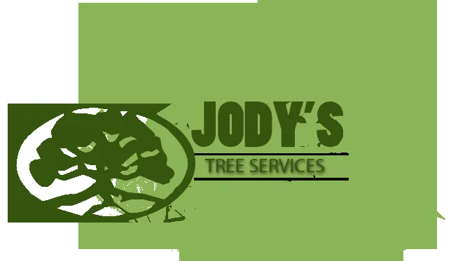 Expert landscape design experts serving Temple, TX - Jody's Tree Service