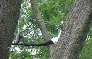 Reliable landscape installation for year-round maintenance in Temple, TX by Jody's Tree Service