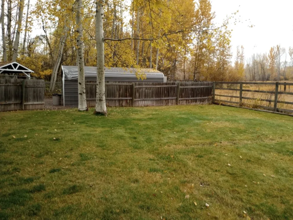 Trusted outdoor landscaping in Bigfork, MT - Joe & Kai