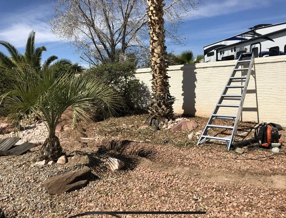 Custom residential landscaping for residential properties across Bigfork, MT - Joe & Kai