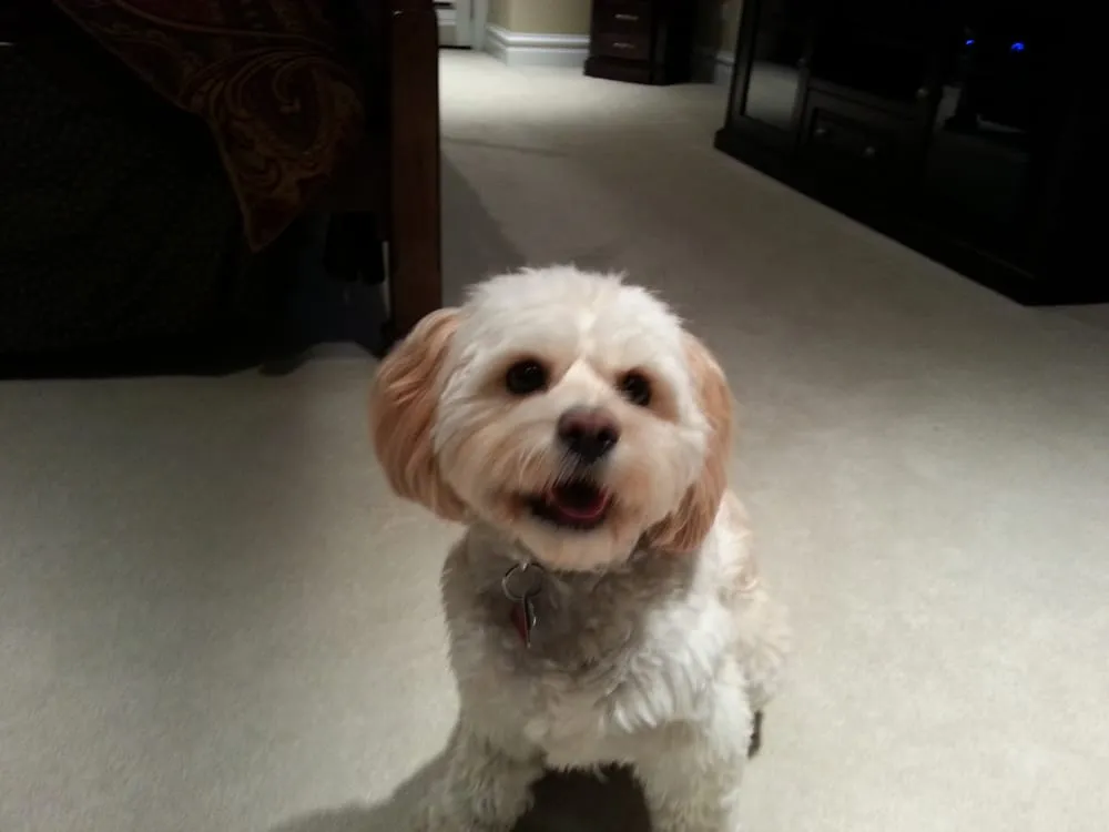 Reliable lawn mowing service in Highland Park, IL - Joe & Tony Landscaping