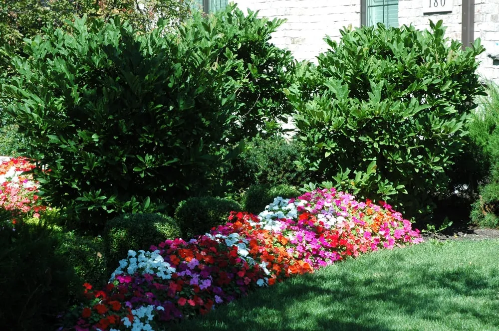 Professional yard maintenance in Highland Park, IL - Joe & Tony Landscaping